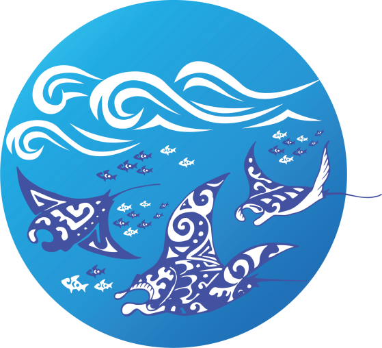 Discover Isla Contoy